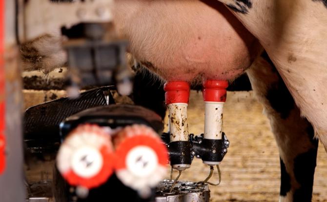 Campagne GAIA "Pas ton lait" : la FWA dénonce un agribashing