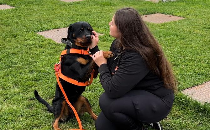 Sans Collier : une guinguette pour mieux comprendre les besoins des chiens