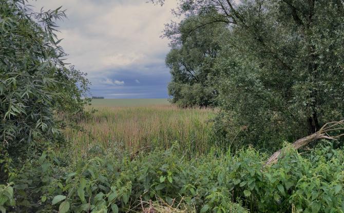"Aux Sources de la Jette" : un projet de réserve naturelle à cheval sur Gembloux et Perwez