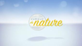 Curieux de nature - 24/04/2024