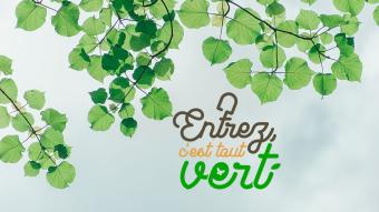 Entrez, c'est tout vert - Une histoire d'eau