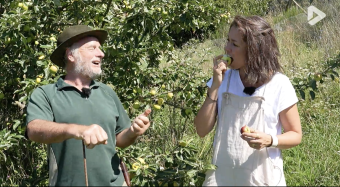 Histoires d'arbres - Le pommier sauvage