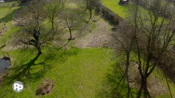 Entrez, c'est tout vert - Le bois de Wallonie