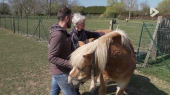 Les Héros des animaux : le Rêve d'Aby épisode 2