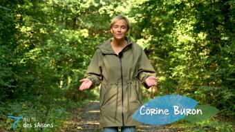Au fil des saisons - épisode 2