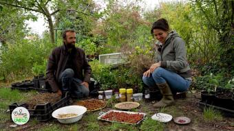 Entrez, c'est tout vert - Focus sur les jardins-forêts