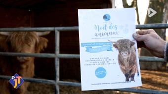 Le JT - Vendredi 5 décembre 2025