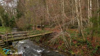 Au fil des saisons - épisode 3