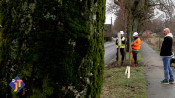 Le JT - Mardi 13 janvier 2026