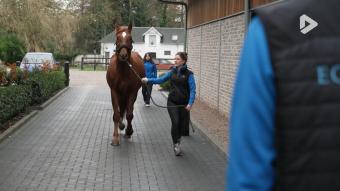 Les Héros des animaux - Equitom épisode 1