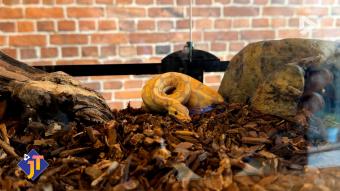 Le JT - Mardi 20 janvier 2026