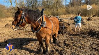 Le JT - Lundi 9 février 2026