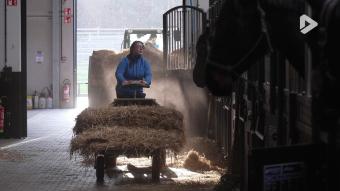 Les Héros des animaux - Equitom épisode 2