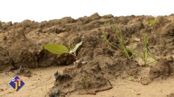 Le JT - Vendredi 13 février 2026