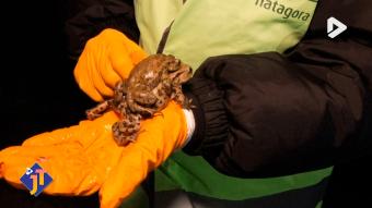 Le JT - Mardi 24 février 2026