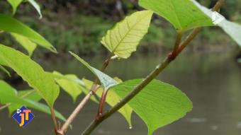 Le JT - Vendredi 27 février 2026