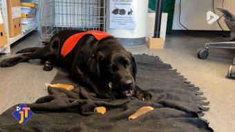 Le JT - Mercredi 18 mars 2026