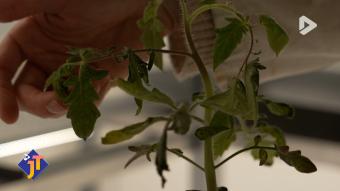 Le JT - Jeudi 25 mars 2026