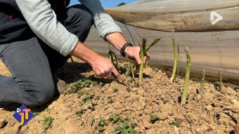 Le JT - Jeudi 23 avril 2026