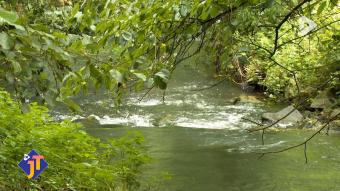 Le JT - Vendredi 24 avril 2026